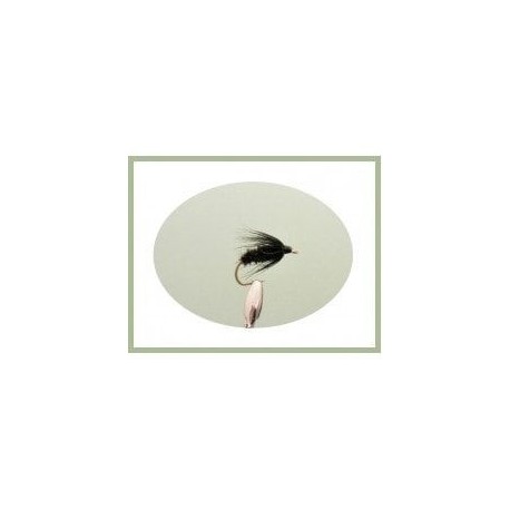 Wets black peacock spider $2.34