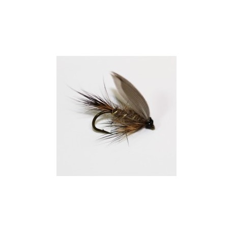 Wets hares ear wet $2.34