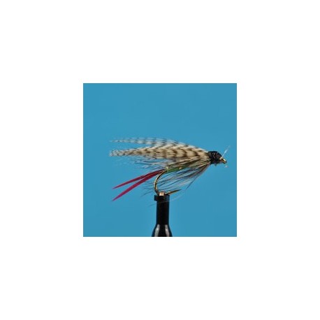 Wets Grizzly King Wet Fly $2.34