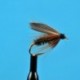 Wets Leadwing Coachman Wet Fly $2.34