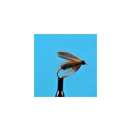 Wets Leadwing Coachman Wet Fly $2.34