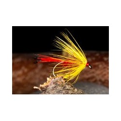 Wets HamelsShellbackSpider $2.34