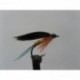 Wets butcher kingfisher wet $2.34