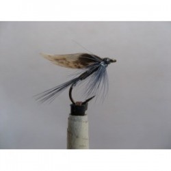 Wets mallochs favourite wet $2.34