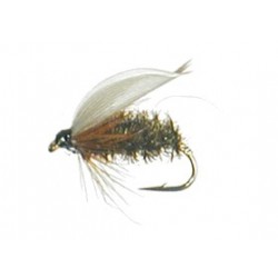 Wets Leadwing Coachman.gif $2.34