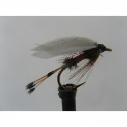 Wets coachman royal wet $2.34