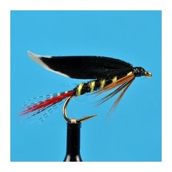 Wets McGinty Wet Fly $2.34
