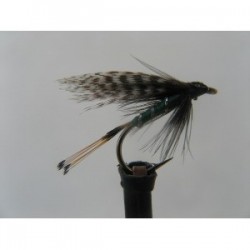 Wets teal and green wet $2.34