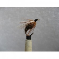 Wets hoolet wet $2.34