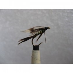 Wets yellow owl wet $2.34