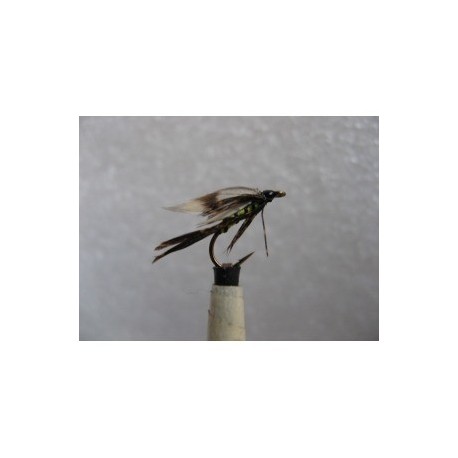 Wets yellow owl wet $2.34