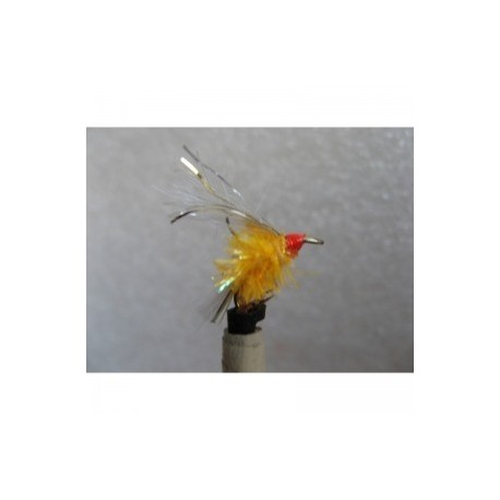 Wets abortion orange $2.34