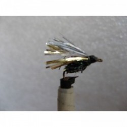 Wets abortion black $2.34