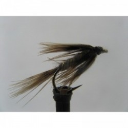 Wets march brown spider wet $2.34