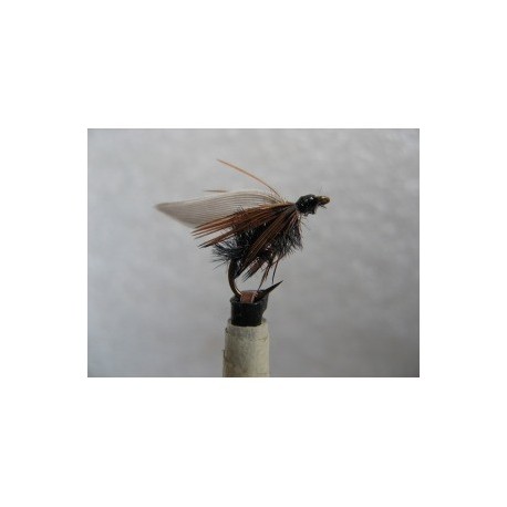 Wets haul a gwynt welsh $2.34