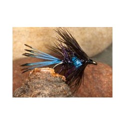 Wets BruiserBibio $2.34