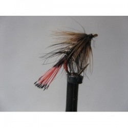 Wets ians kate variant $2.34