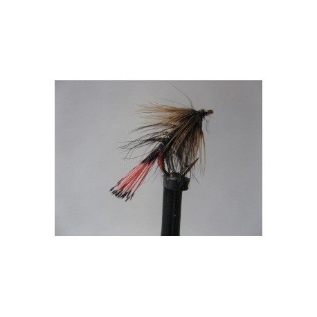 Wets ians kate variant $2.34