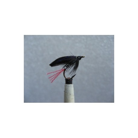 Wets butcher twinkle wet $2.34