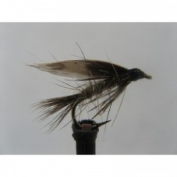 Wets march brown wet $2.34