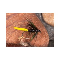 Wets PetersonsPennell $2.34