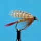 Wets Professor Wet Fly $2.34