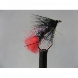 Wets uv zulu black wet $2.34