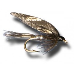 Wets Beauty Wet Fly $2.34