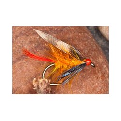 Wets InvictaSunburst $2.34