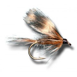 Wets Adams Wet $2.34