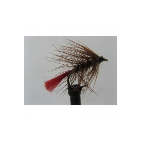 Wets soldier palmer wet $2.34