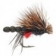 Wets fly new placeholder $2.34