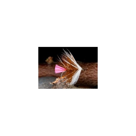 Wets PinkTailLochOrdie $2.34