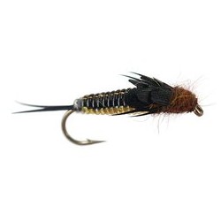 Beaded Nymphs Rainbow Heavy Bodyglass Stonefly $2.42
