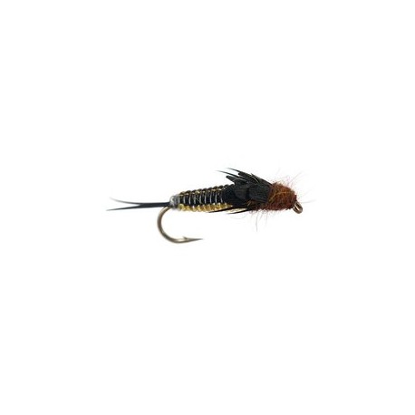 Beaded Nymphs Rainbow Heavy Bodyglass Stonefly $2.42