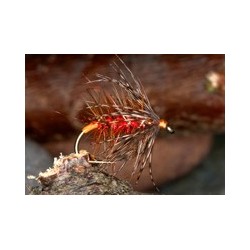 Wets OrangeTagPalmer $2.34