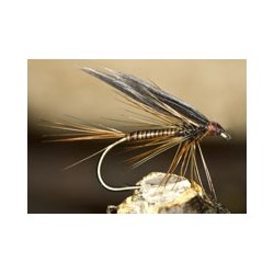 Wets Ginger Quill $2.34