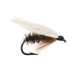 Wets Coachman $2.34