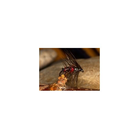 Wets Midnight Fire Bibio $2.34