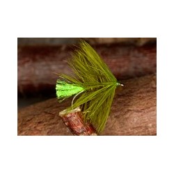 Wets OlivePalmer $2.34