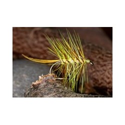 Wets GartmorePalmerYellow $2.34