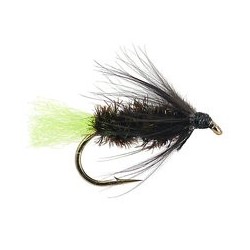 Wets Peacock Spider Green Tag $2.34