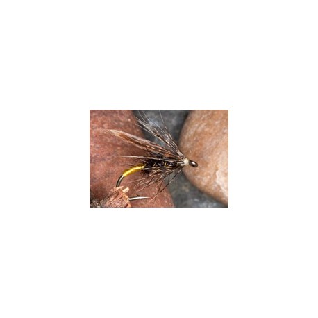 Wets RhyfwrBachRobat $2.34