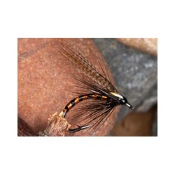 Wets IrishCormorantOrange $2.34