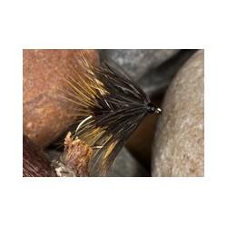 Wets DarkLochOrdie $2.34