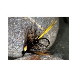 Wets blackkatie $2.34