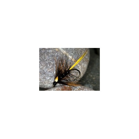 Wets blackkatie $2.34