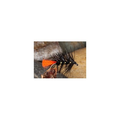 Wets ZuluShetland $2.34