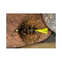 Wets PalMarBrown $2.34