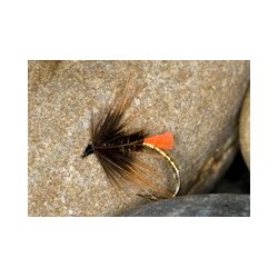 Wets HSCochyBondhu $2.34